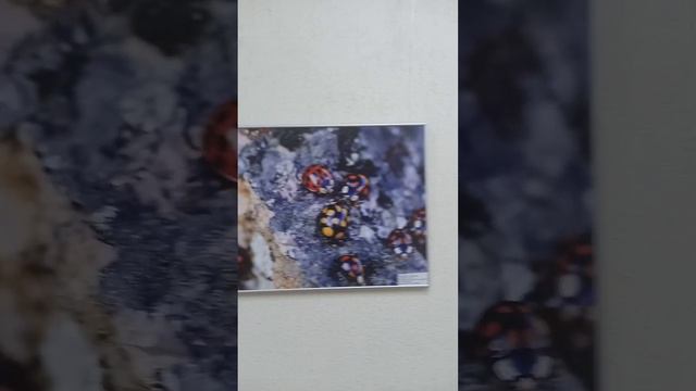 Работы юных фотографов. 13.08.2022. Иркутск. смотреть онлайн