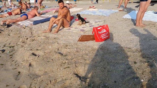 Чорноморськ 2017 смотреть онлайн