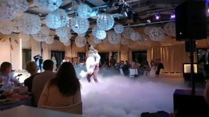 Тяжелый дым, холодные фонтаны на первый танец, Отель Форест Малоярославец Калужская обл.