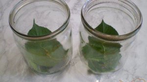 Салат на зиму