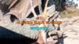 Очередной...
