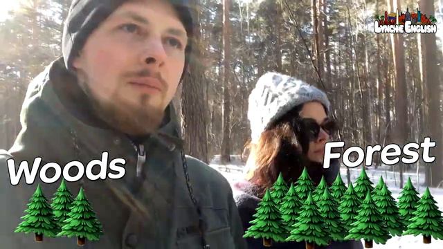 WOODS или FOREST? | Lynchie English смотреть онлайн