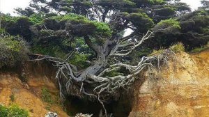 Олег Скобля - Господи, Тебе пою