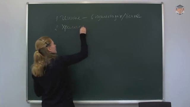Занятие 12  Изменчивость  Селекция