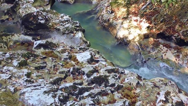 Уникальный уголок абхазской природы - Черниговка. Абхазия 2018 смотреть онлайн