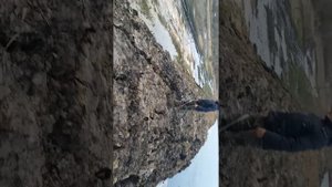 Чего опасались жители г. Севск , то и начало происходить на ядохранилищах ЗАО УМАЛАТ г. Севск