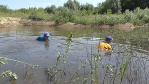Рыбалка НА ПОПЛАВОК! И ловля РЫБЫ РУКАМИ! РЫБЫ ПОЛНО!!! КРУПНЕЕ пошла!