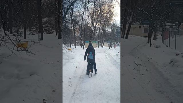 Гуляйте правильно!