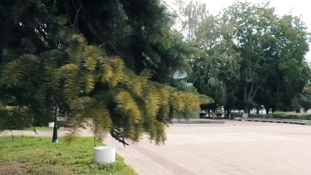 Тверь. Прогулка по городу.  Russia. Tver.