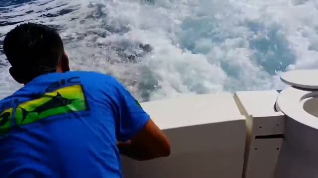 Бег вслепую / Приколы 2014 смотреть онлайн