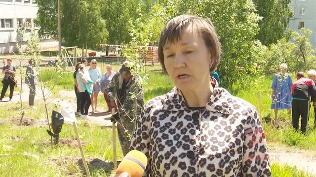 Серебристые гипоаллергенные тополя высадили в детском саду № 116 смотреть онлайн