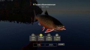 Русская рыбалка 4 - о.Ладожское- Палия на ультралайт