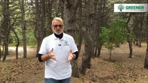 НЕ САЖАЙТЕ ХВОЙНЫЕ, ПОКА НЕ ПОСМОТРИТЕ ЭТО ВИДЕО! Правила которые нужно знать КАЖДОМУ!