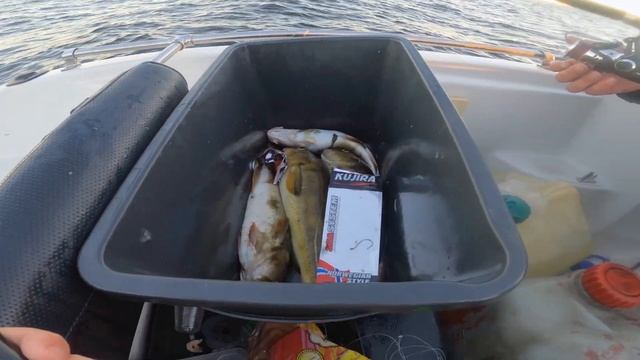 На рыбалку за треской в Белое море в первый раз в жизни смотреть онлайн