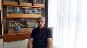 Разведение канареек  овсяночного напева.  Обучение  пения молодых  самцов.  Часть  1.