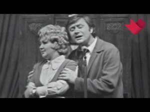 Это было смешно//Маленькие комедии большого дома