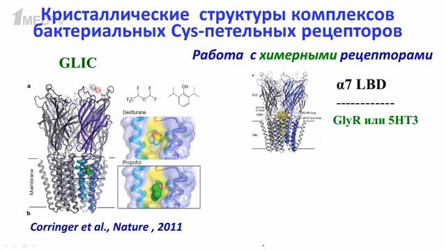 Авторская программа «Медицина в контексте», тема: «От нейротоксинов к рецепторам и рецептам».