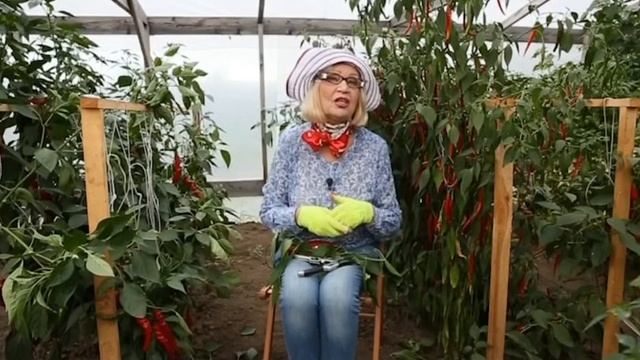 ОСТРЫЙ ПЕРЕЦ с Октябриной Ганичкиной