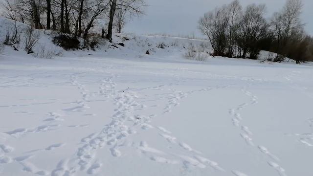 Пробую снасть Вертолёт.