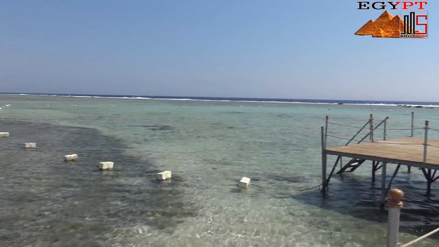 Египет. Шарм-Эль Шейх. Royal Albatros Moderna- Встречай! смотреть онлайн