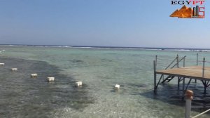 Египет.  Шарм-Эль Шейх. Royal Albatros Moderna- Встречай!