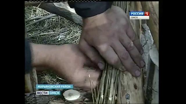 мастер лозоплетения.avi смотреть онлайн