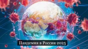 #Аврора #гадание Пандемия в России 2025