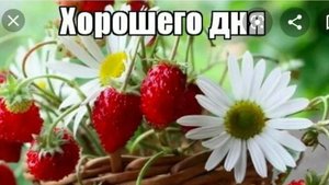 Хорошего дня.