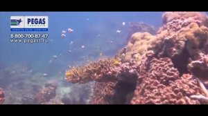 Отдых на Пхукете водные развлечения
