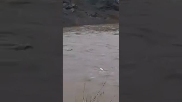 В Аягузе ливневая вода разрушает дома