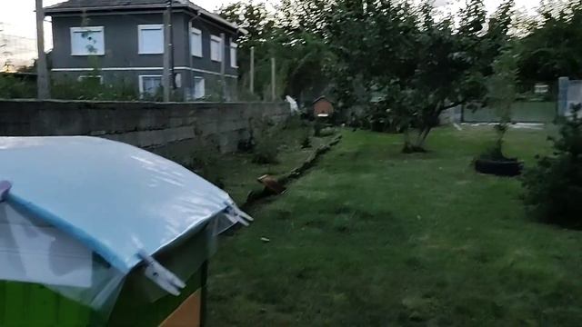 Подселение пчёл к отводку #17 Натуральное пчеловодство с нуля смотреть онлайн