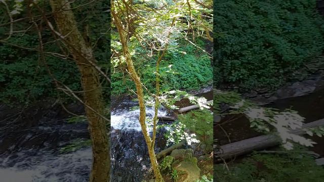 Rickett's Glen Falls Trail, Benton, PA 9/10/22 Mountain View Wesleyan Church hike