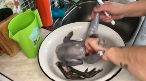 Чёрное мясо у китайских куриц Ухейилюй. Миф или реальность
