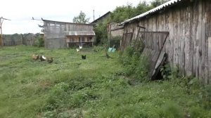 ДЕД МАТВЕЙ И СОСЕД ПЕТЯ!!!