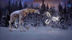 Новогодние заставки (Первого Канала) белка фейерверк и жираф на снегу #26 2021-2022