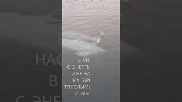 28 лунные сутки "Вы могущественный творец"