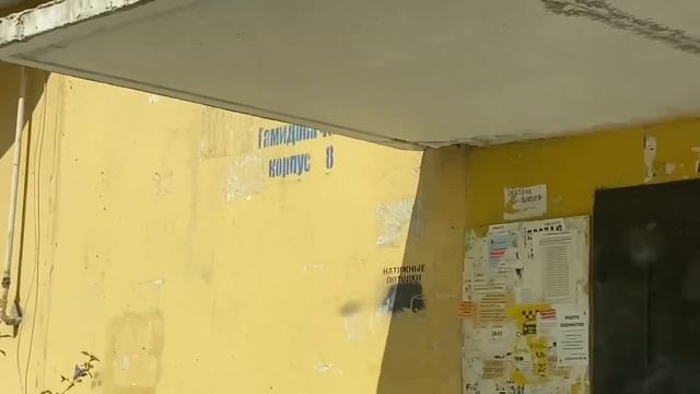 Катаем зелёнку. Опять единицы??