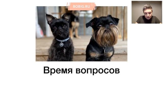Бесплатный вебинар Насти Бобковой «Хочу собаку: что должен знать каждый владелец»
