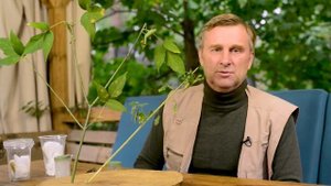 Богомол Кавказец с Херсона