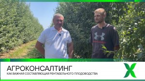 Агроконсалтинг как важная составляющая рентабельности плодоводства