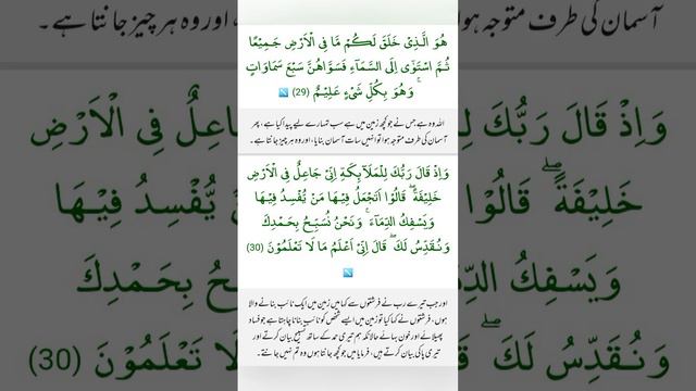 Surah al baqarah Ayat 29 to 30 With Urdu translation