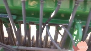 Посев Озимой пшеницы 2021 сеялкой Джон дир