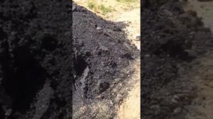 С. Карасук Республика Алтай (рядом с Горно-Алтайском) асфальт на дороги надо класть