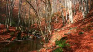 Balkan Mountains (Stara Planina) in Bulgaria