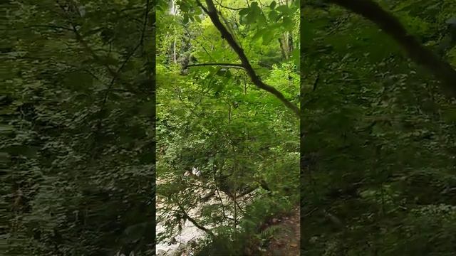 Сочи. Агурское ущелье смотреть онлайн