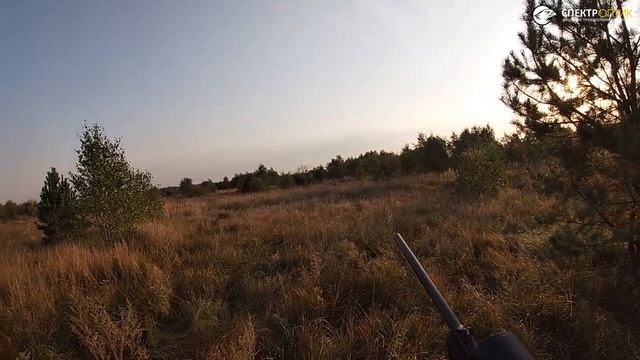 Охота на оленя на реву в Беларуси