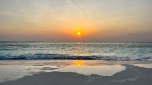 #20 ЗАКАТ НА ОКЕАНЕ. ЗАНЗИБАР, ТАНЗАНИЯ, август 2023. Какой алкоголь привезти с Занзибара в подарок?