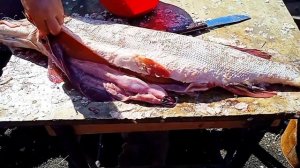 Щука на ДЕСЯТКУ пойманная на спиннинг джиг весной. Рыбалка  на Оби 2023