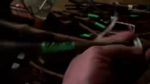 Получила посылку из Крыма с черенками винограда