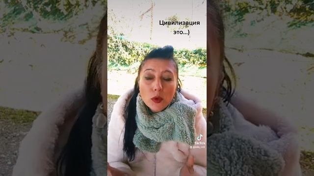 Цивилизация это ступень развития...